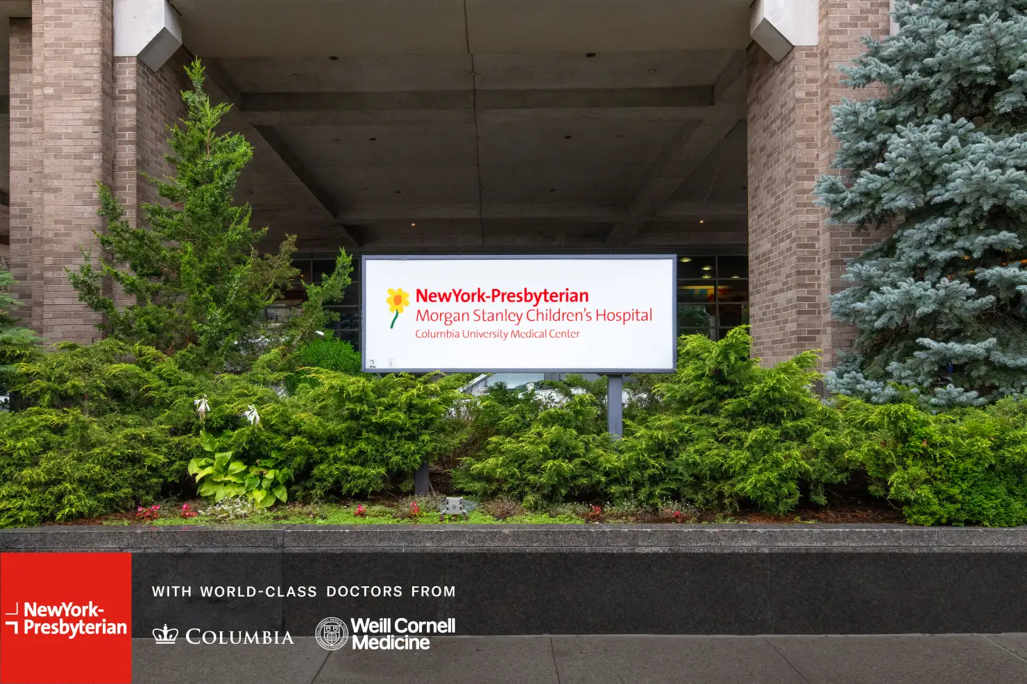 Morgan Stanley Childrens Hospital Interior