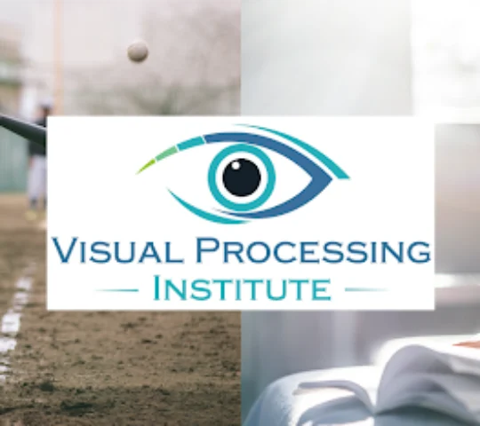 Visual Processing Institute