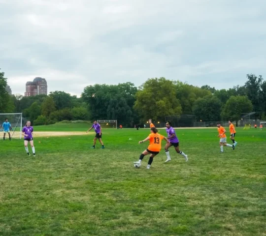 Central Park North Meadow Soccer Fields