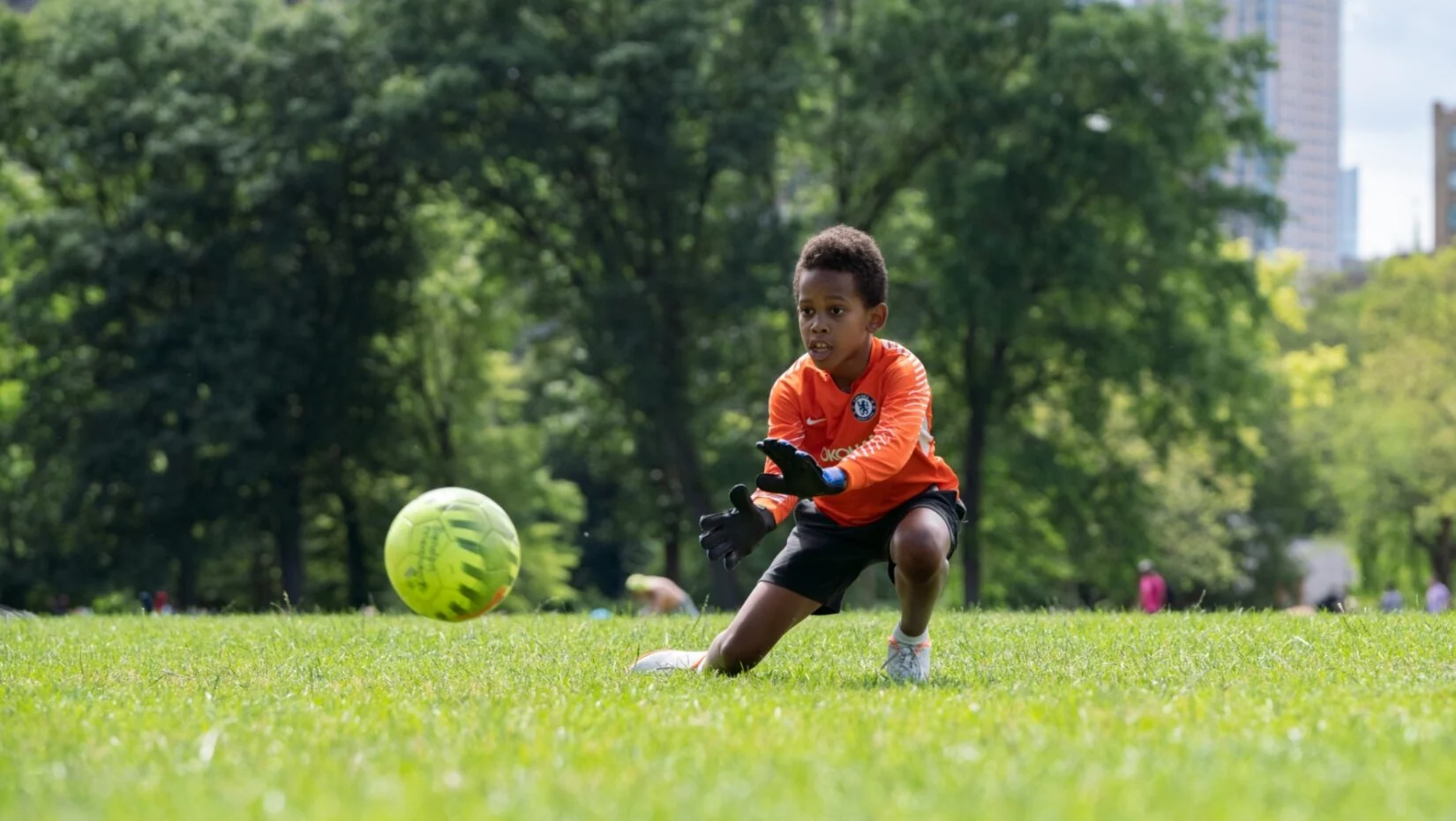 Central Park North Meadow Fields