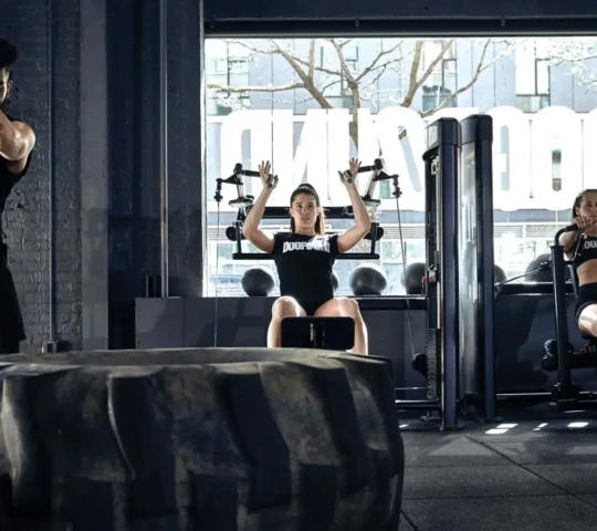 Dogpound – Tribeca