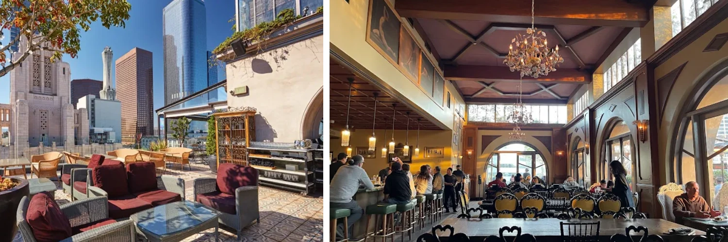 Skyline View from Perch