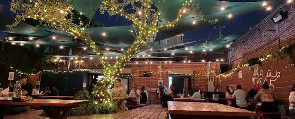 Evening at Everson Royce Bar