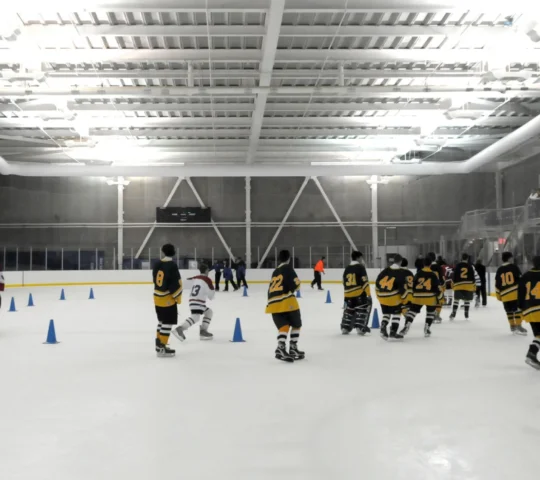 World Ice Arena – Flushing Meadows, Queens