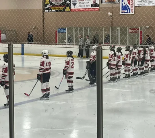 Buffalo Wild Wings Arena