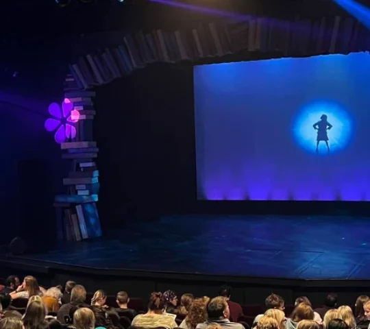 Rochester Civic Theatre