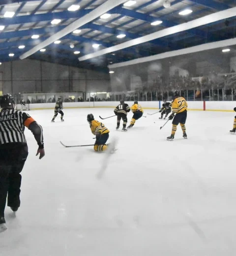 Top 10 Ice Hockey Stadiums & Rinks in New York City – Best NHL Arenas