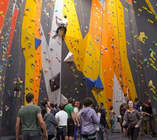 Mission Cliffs Mission Cliffs