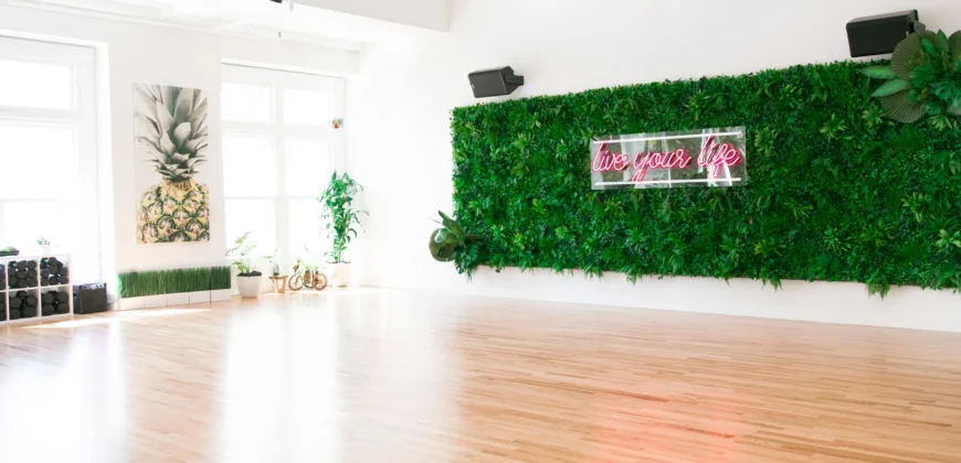 Rae Studios | San Francisco Dance & Fitness Studio