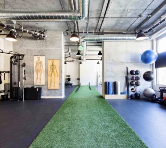 San Francisco Physical Therapy & Performance