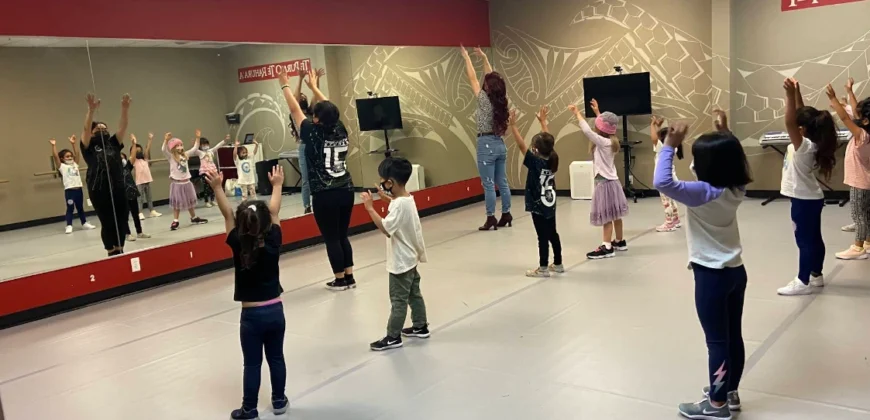 Spark of Creation Studio