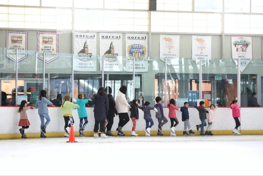 Top 3 Famous Ice Hockey & Skating Stadium / Center — San Francisco area, USA (2025)