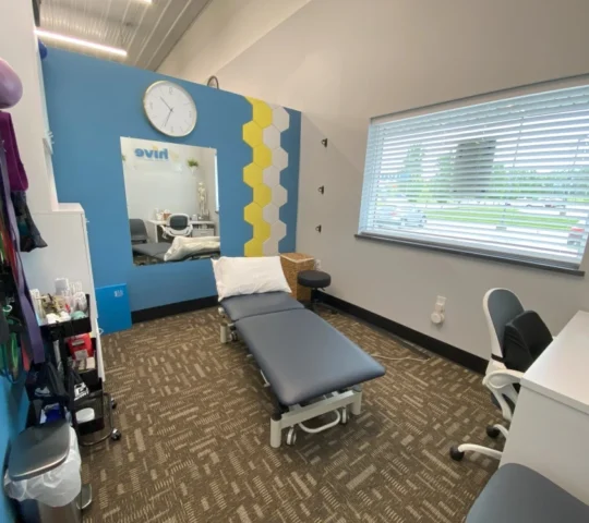 Hive Therapy and Wellness