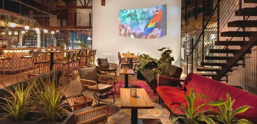 Kahvi Coffee and Cafe